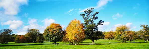 nabhaj Profile Banner