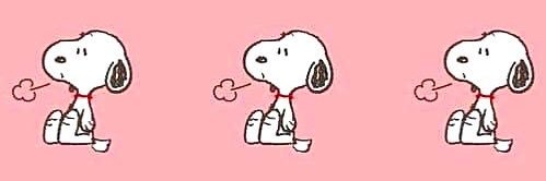 のりここなっつ banner