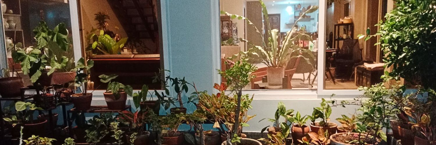 sc53300's profile banner image
