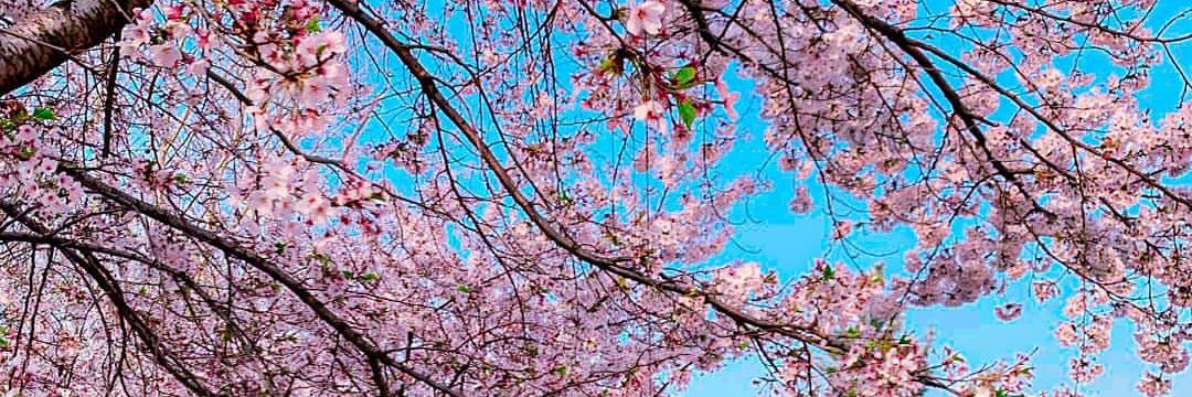 dree04_'s profile banner image