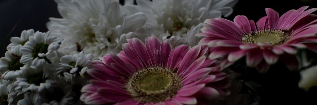 tyrabobo's profile banner image