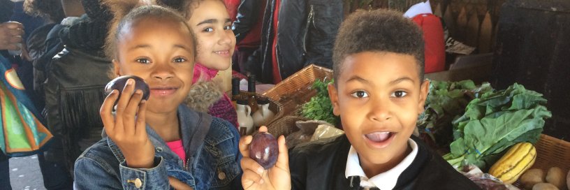 CoolSchoolFood's profile banner image
