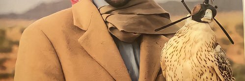 ALi Alarjani 🐆 banner