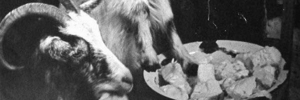 MinimizeEntropy Profile Banner