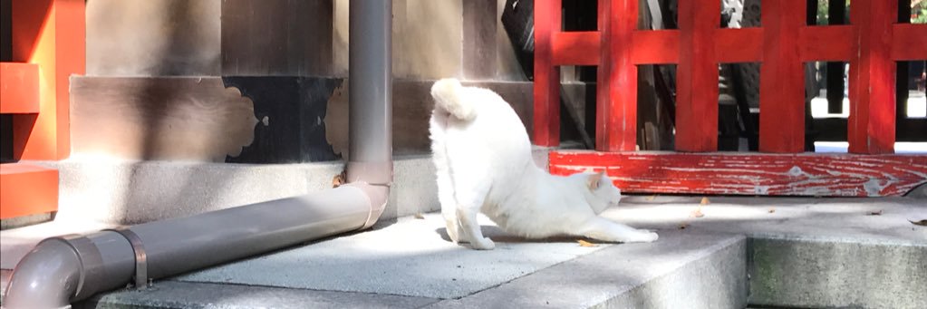 ふじー banner