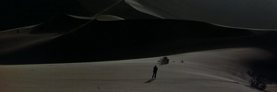Dragon's banner