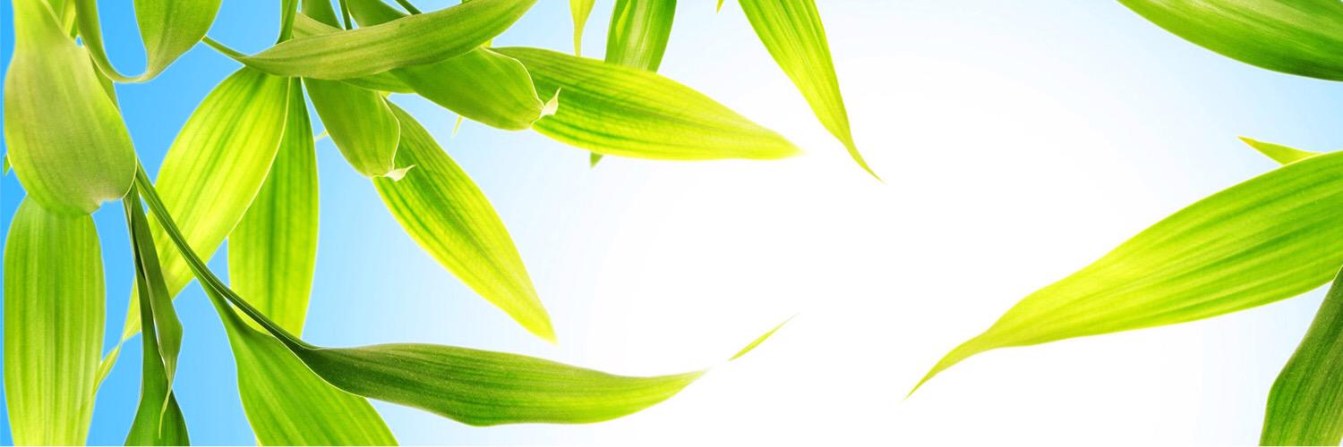 Mike_Willowbeck's profile banner image