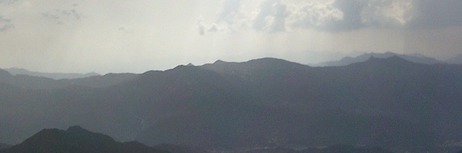 ‏木漏れ日森 banner