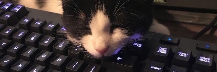 ISn_0w's profile banner image