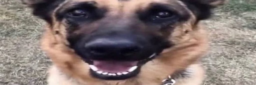 valde tutoriales banner