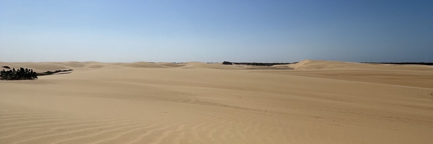 Roynel Martín banner