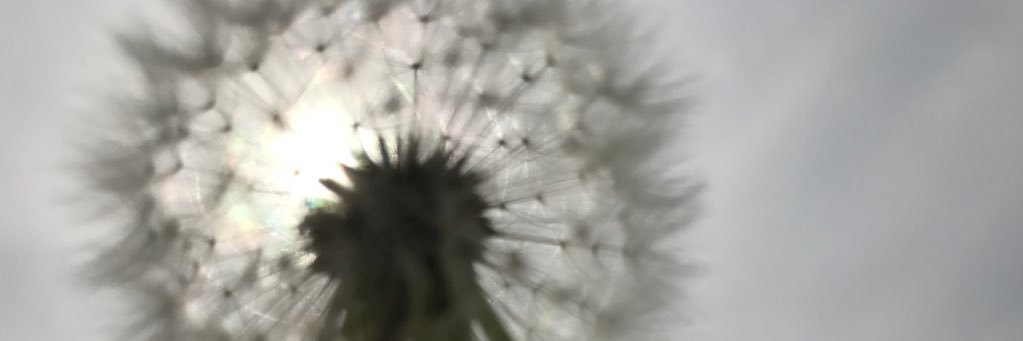 8earth8's profile banner image