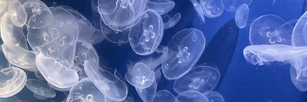 tag_iii_x Profile Banner