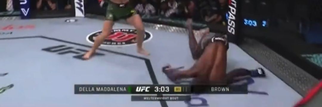 MeterPeter UFC banner