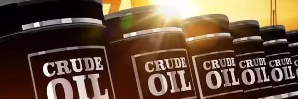 BarkinBoss 🇺🇸 banner