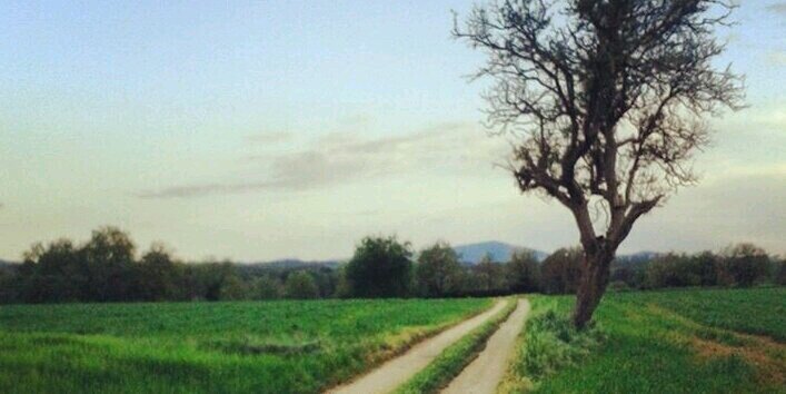 Ismael Gutierrez banner