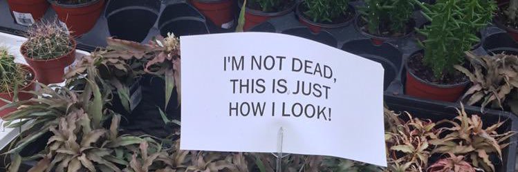 JaJaJaJook's profile banner image