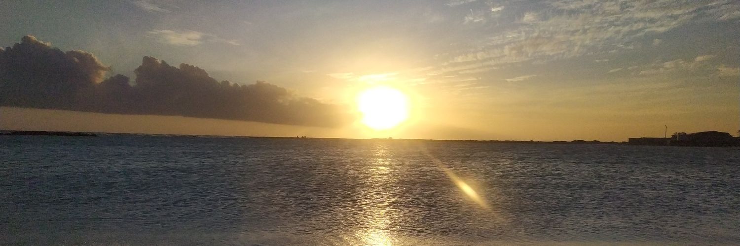 rodrigo_vivan's profile banner image