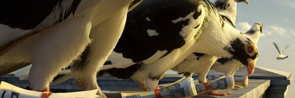 SheikAlthafDev Profile Banner