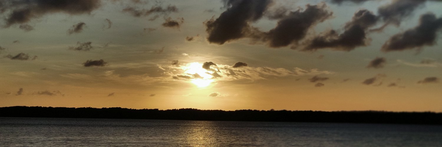 RobertoWutke's profile banner image