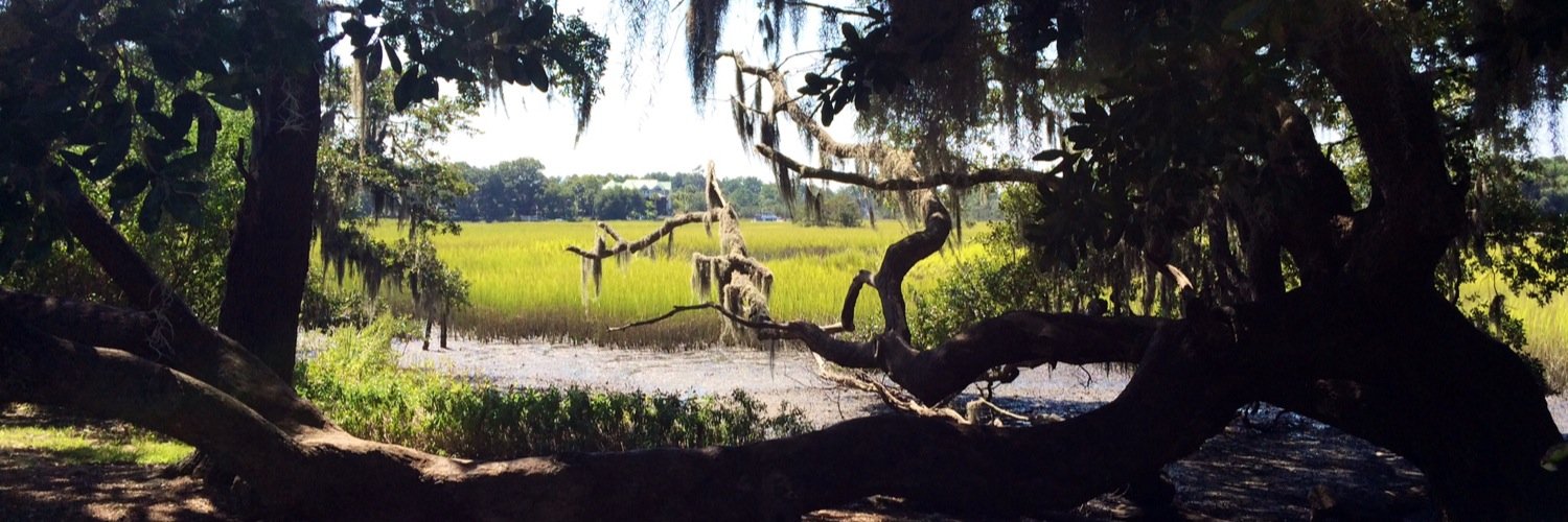 bussekrd's profile banner image