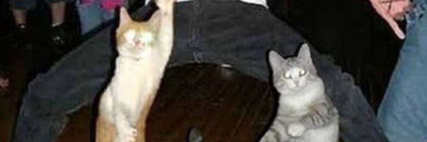 almonddigass's profile banner image