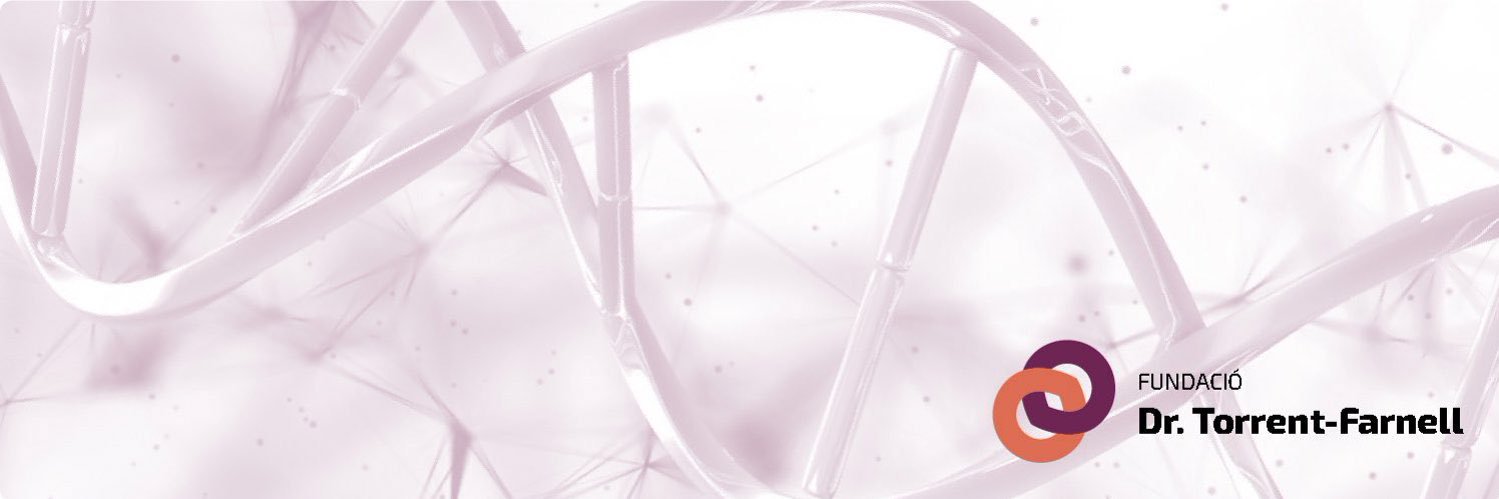 plataformamm's profile banner image