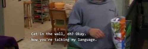 Hayley banner