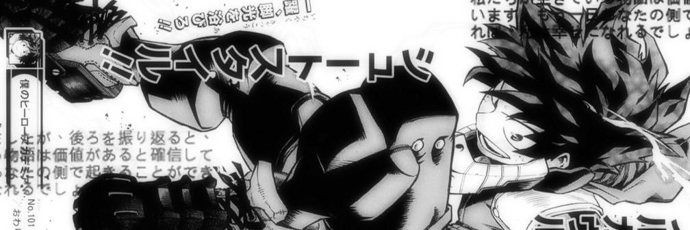 pro hero shoto fan's banner