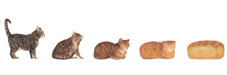 icak🐈‍⬛ banner