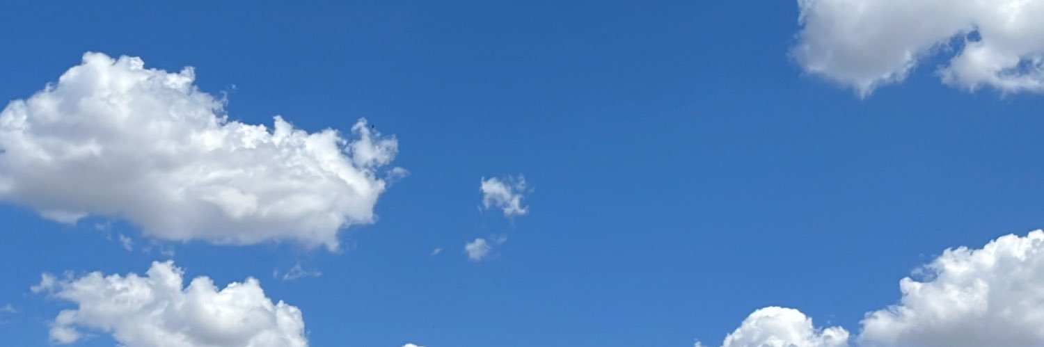 Patripuigc's profile banner image