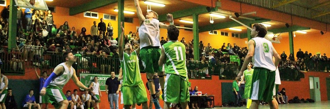 Deportes Los Sauces banner