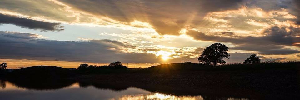 Cranbrook Herald banner