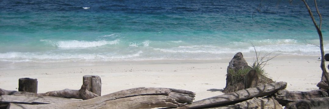 feedalvin's profile banner image