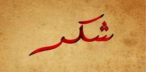 ShukrStudio's profile banner image