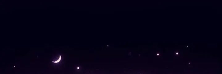 なまけもの banner