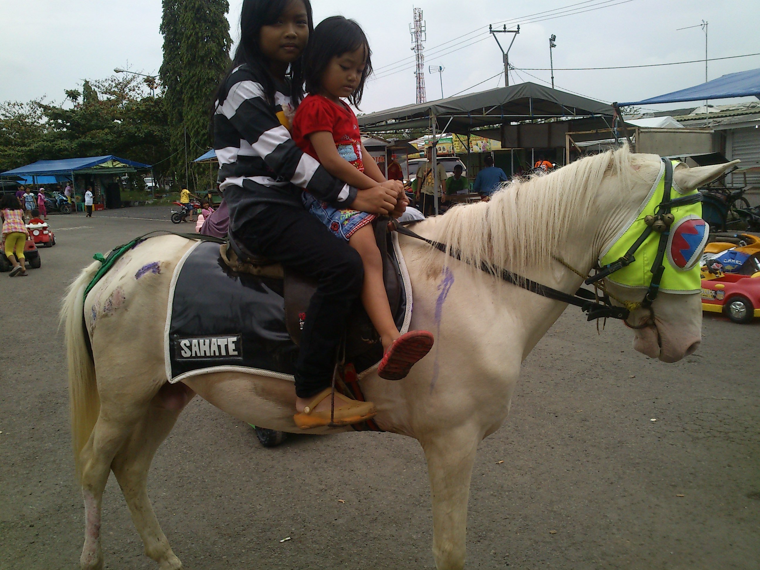 جالا لهفان banner