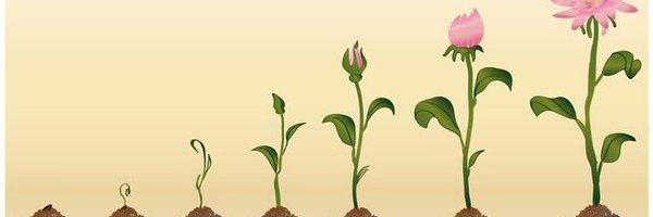 rogercee23 Profile Banner