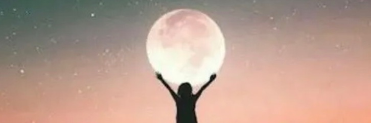SCampos53516's profile banner image