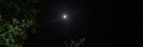 AzmaaAsc1907 Profile Banner