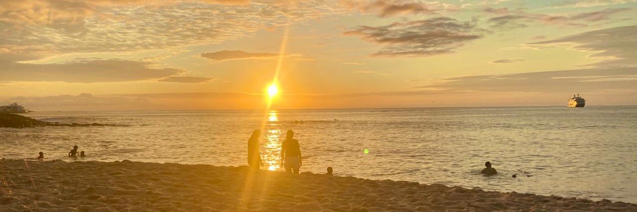 Cindy Hidalgo banner