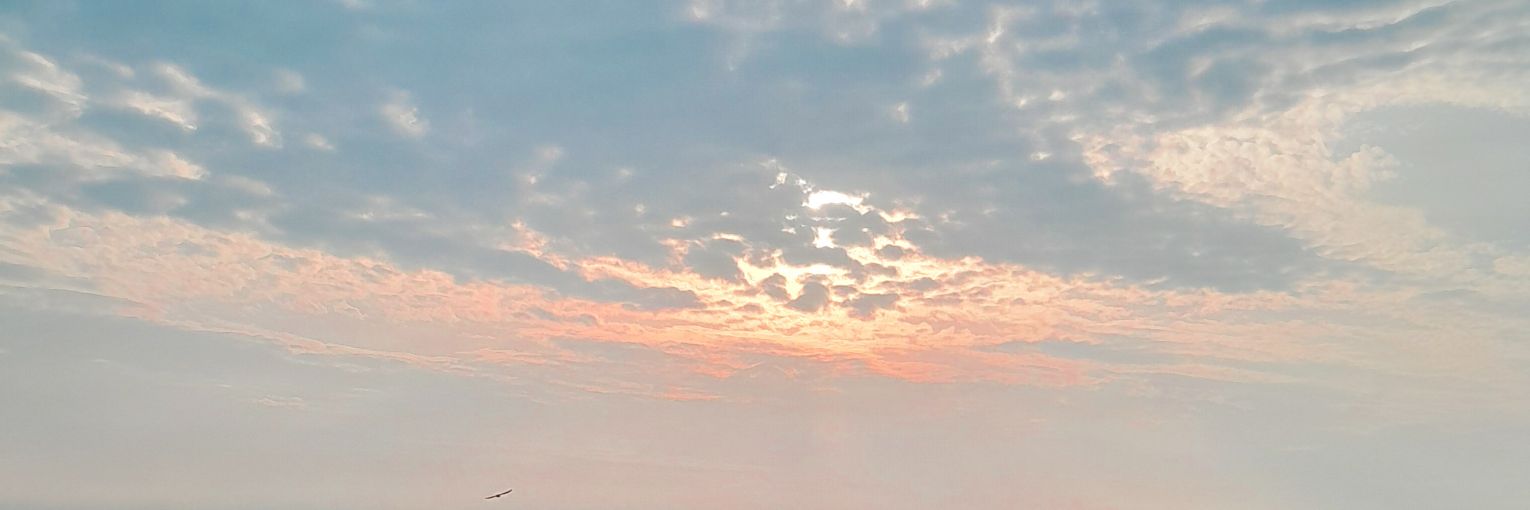 nefele☁️ banner