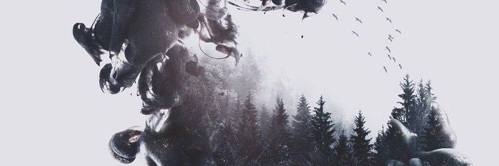 empress__29's profile banner image