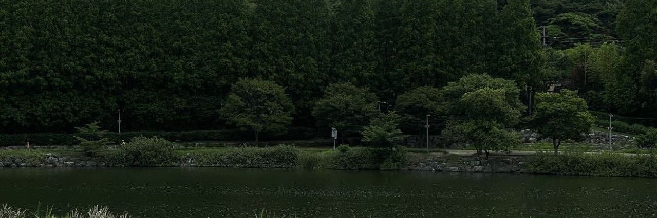 비웨's banner