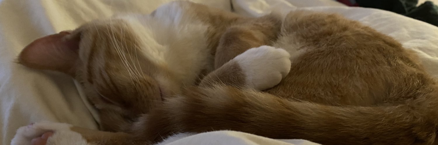 EmilyPoor's profile banner image