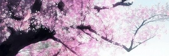 ozoi_12's profile banner image