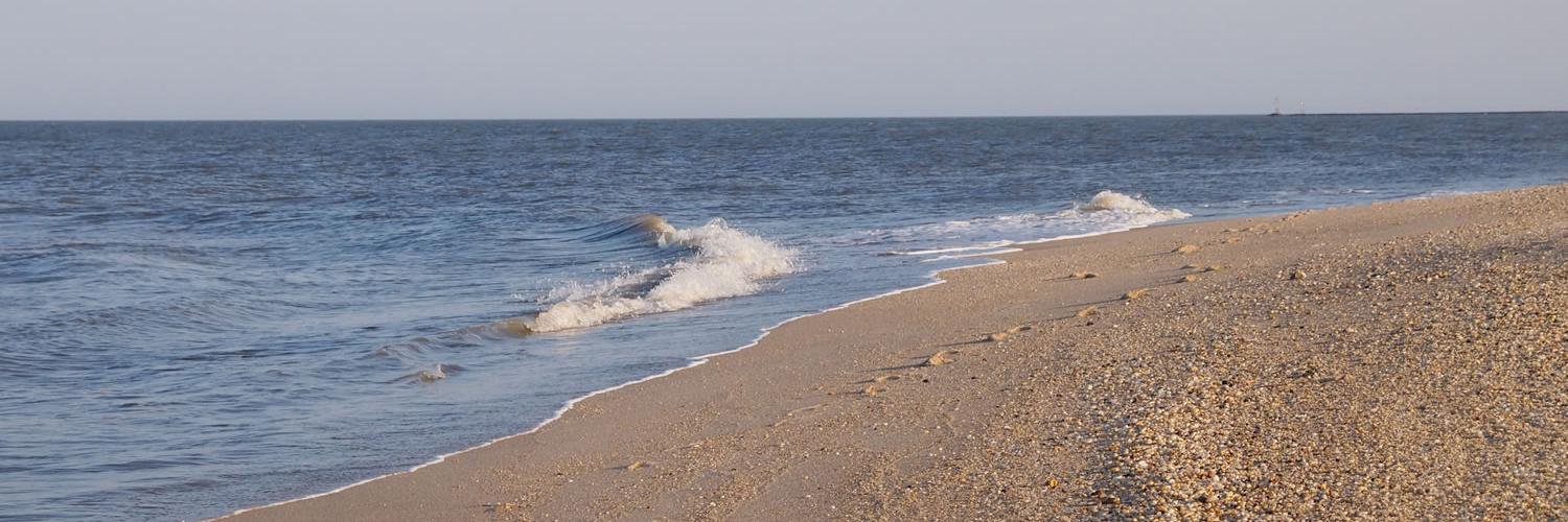 Cape May Writer banner