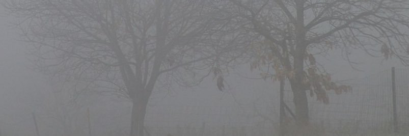 Q Public banner