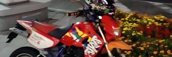 junseiseed_evol Profile Banner