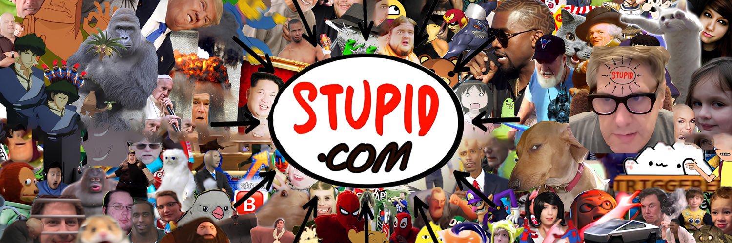 Stupid 🚫🧠's banner